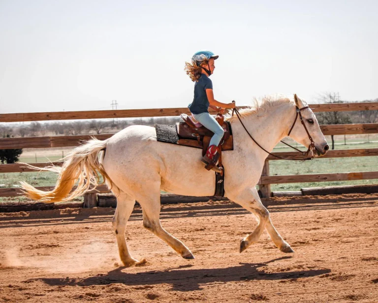 Partnership - CanterLope